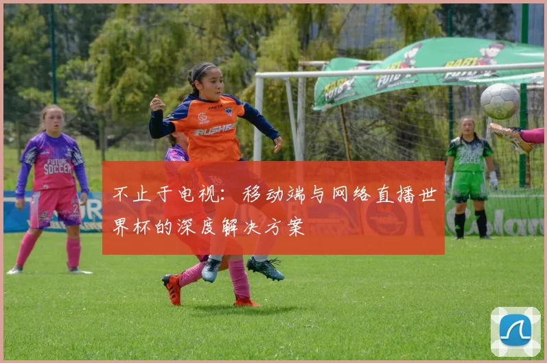 不止于电视：移动端与网络直播世界杯的深度解决方案