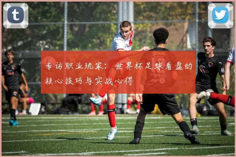 专访职业玩家:世界杯足球看盘的核心技巧与实战心得
