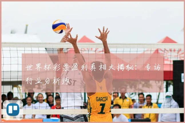 世界杯彩票盈利真相大揭秘：专访行业分析师