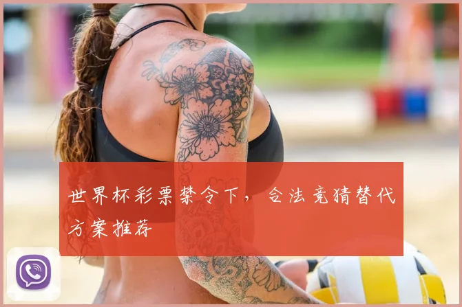 世界杯彩票禁令下，合法竞猜替代方案推荐