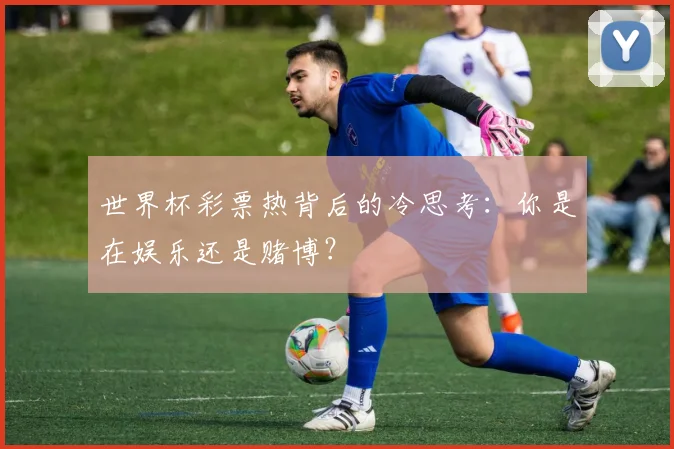 世界杯彩票热背后的冷思考：你是在娱乐还是赌博？